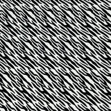 Per Metre Printed, Quilting Cotton, 45" Wide - Zebra