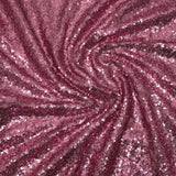 3 Metres - Luxurious Sequins On Net - 55