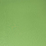 3 Metres Soft Mesh Jersey   55" Wide (Green)