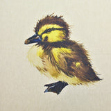100% Cotton Rich Printed Cushion Panels - Ducklings - 18”x18”
