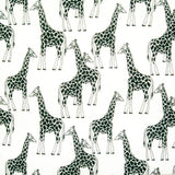 A Tower of Giraffes Printed Polycotton, 44" Wide - Variations Available