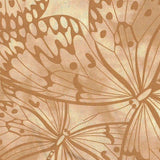 Beige Premium 100% Cotton Melody With Butterfly Printing.